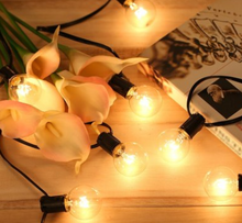 Load image into Gallery viewer, Solar LED light strings - 7 meters - Hong Kong Rooftop Party