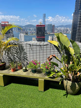 Load image into Gallery viewer, Artificial Grass - Hong Kong Rooftop Party