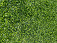 Load image into Gallery viewer, Artificial Grass - Hong Kong Rooftop Party