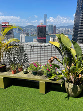 Load image into Gallery viewer, Artificial Grass - Hong Kong Rooftop Party
