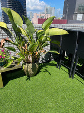 Load image into Gallery viewer, Artificial Grass - Hong Kong Rooftop Party
